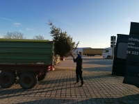 Christbaumaktion 2023